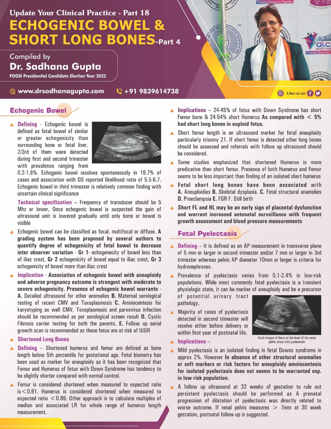 Echogenic Bowel & Pyelectasis (Part 4)