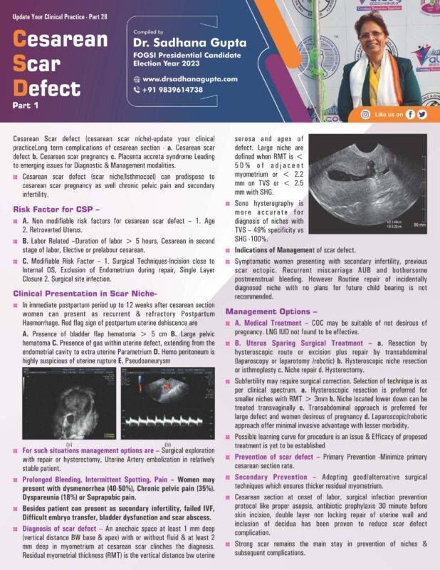 Cesarean Scar Defect_Part 1