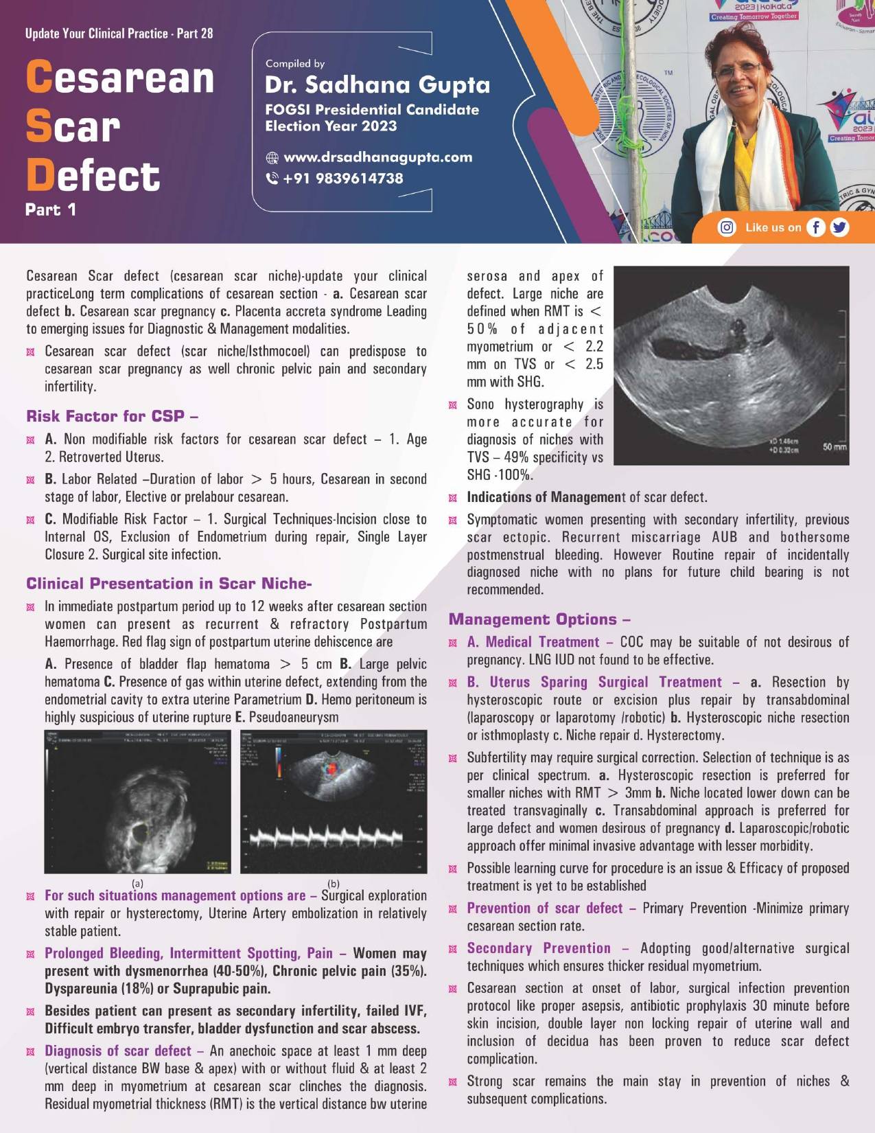 Cesarean Scar Defect_Part 1