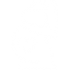 pregnancy